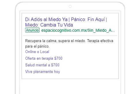 portafolio-Google-search-4-panico-espaciocognitivo