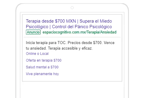 portafolio-Google-search-5-panico-espaciocognitivo