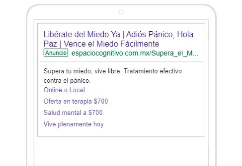 portafolio-Google-search-6-panico-espaciocognitivo